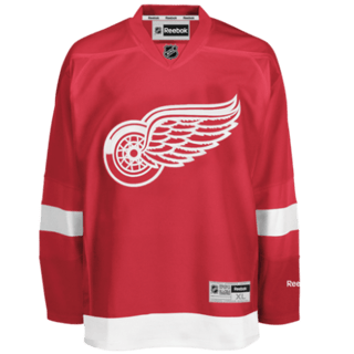 Detroit Red Wings kit
