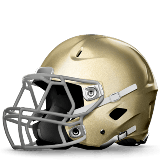Notre Dame kit