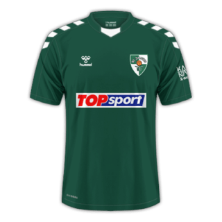 Kauno Žalgiris kit
