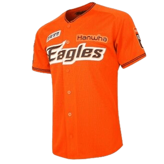 Hanwha Eagles kit