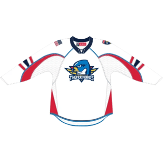 Springfield Thunderbirds kit