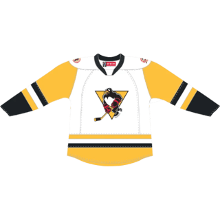 Wilkes Barre-Scranton Penguins kit
