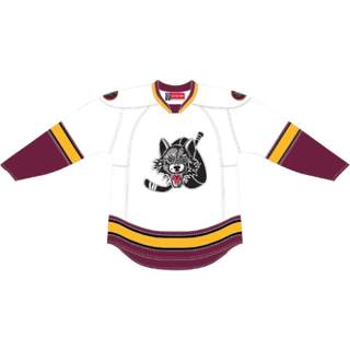Chicago Wolves kit