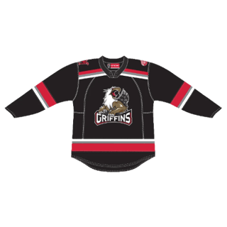 Grand Rapids Griffins kit