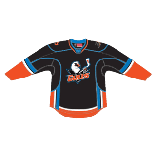 San Diego Gulls kit