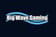 Big Wave Gaming