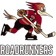 Tucson Roadrunners