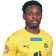 Joslyn Luyeye-Lutumba
