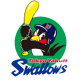 Yakult Swallows