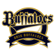 Orix Buffaloes