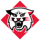 Davidson Wildcats