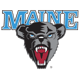 Maine Black Bears