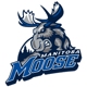 Manitoba Moose