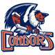 Bakersfield Condors