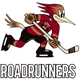 Tucson Roadrunners