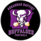 Arkansas Baptist Buffaloes