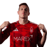 Chris Wood