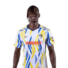 Mory Diaw