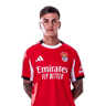 Enzo Barrenechea