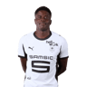 Brice Samba
