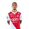 Thilo Kehrer