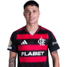 Luiz Araújo