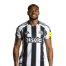 Joelinton
