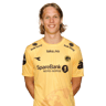 Ulrik Saltnes