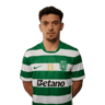 Pedro Gonçalves