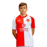 Denis Višinský