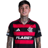 Erick Pulgar