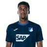 Bernardo