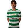 Francisco Trincão