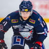 Henrik Törnqvist