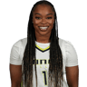 Odyssey Sims