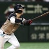Shota Hiranuma