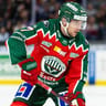 Henrik Tömmernes