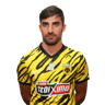 Milad Mohammadi