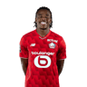 Nathan Ngoy