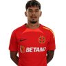 Florinel Coman