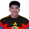 Isaías Violante Romero