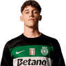 Rafael Nel