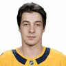 Aiden Fink