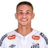 Vinicius Rodrigues Lira