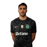 Rui Silva