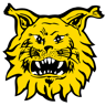 Ilves