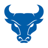 Buffalo Bulls