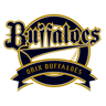 Orix Buffaloes