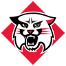 Davidson Wildcats