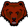 Brown Bears
